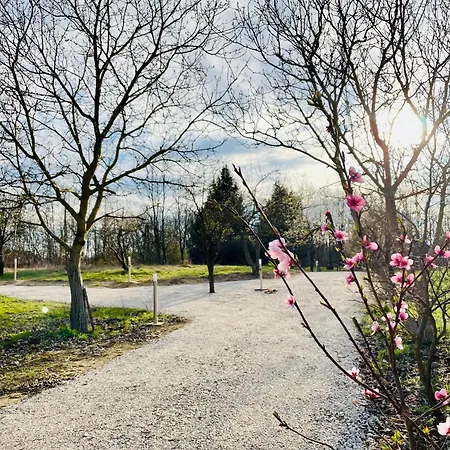 Wow! - Wood & Wellness Apartmanhazak Hodoshat * Nikla