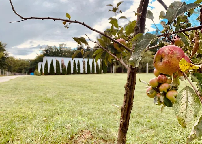 Wow! - Wood & Wellness Apartmanhazak Hodoshat Nikla