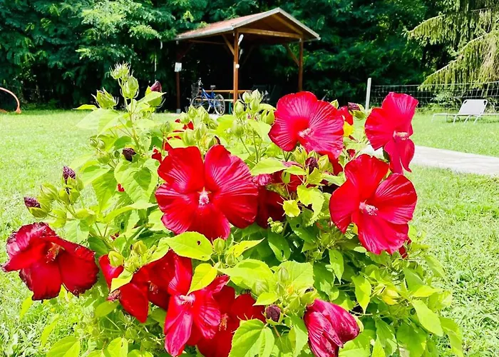 Wow! - Wood & Wellness Apartmanhazak Hodoshat דירה