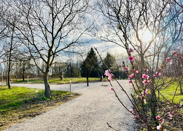 Wow! - Wood & Wellness Apartmanhazak Hodoshat * Nikla