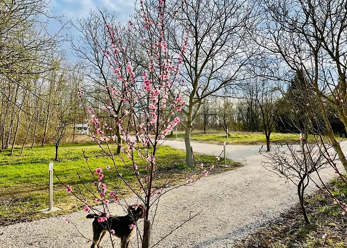 דירה Wow! - Wood & Wellness Apartmanhazak Hodoshat *